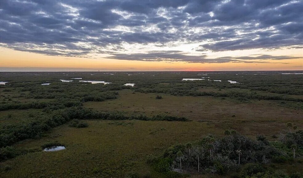 Behind the house - 4440 Saxon Dr