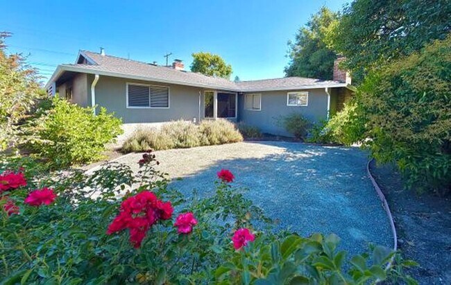 Building Photo - 785 Duke Cir