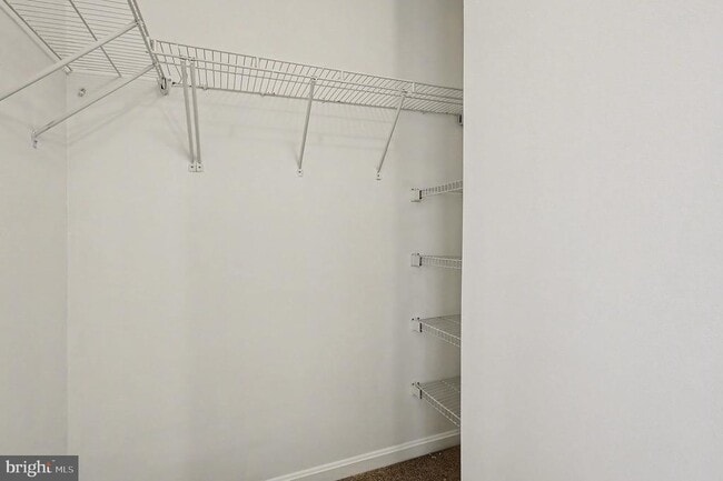 Building Photo - 2003 Paddle Boat Ln