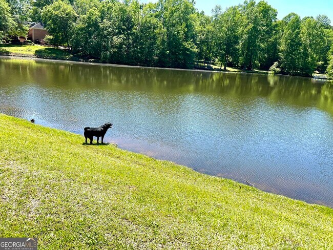 Building Photo - 219 Deerhill Dr