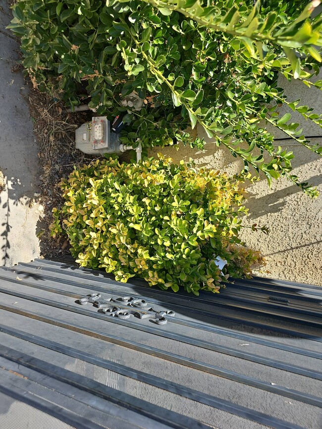 Building Photo - 2341 Langhorn St