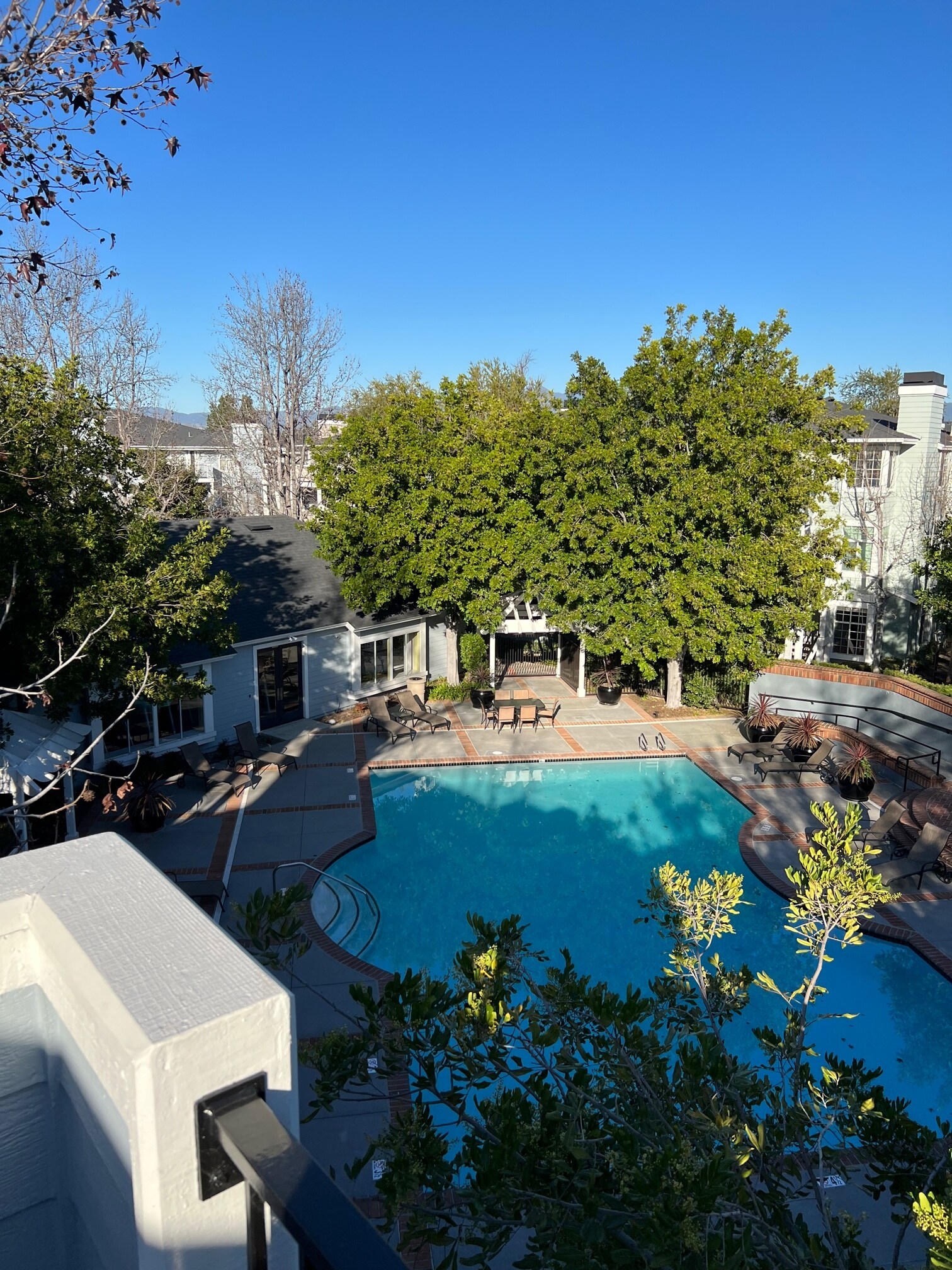 View from Patio - 23412 Pacific Park Dr