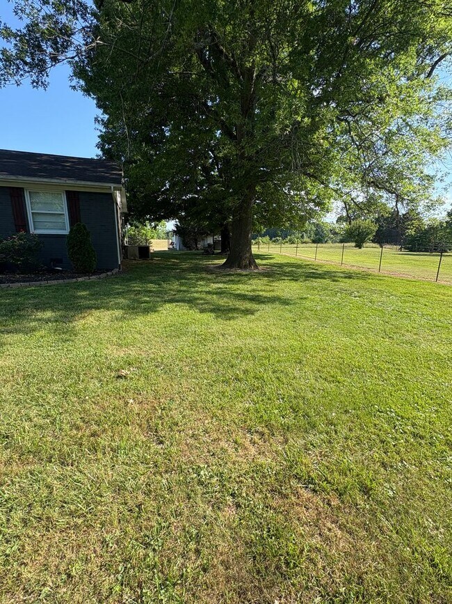 Building Photo - GREAT FOR PETS!!!!