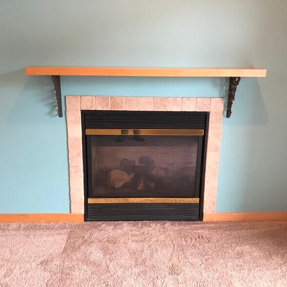 Gas fireplace - 201 E Lane St