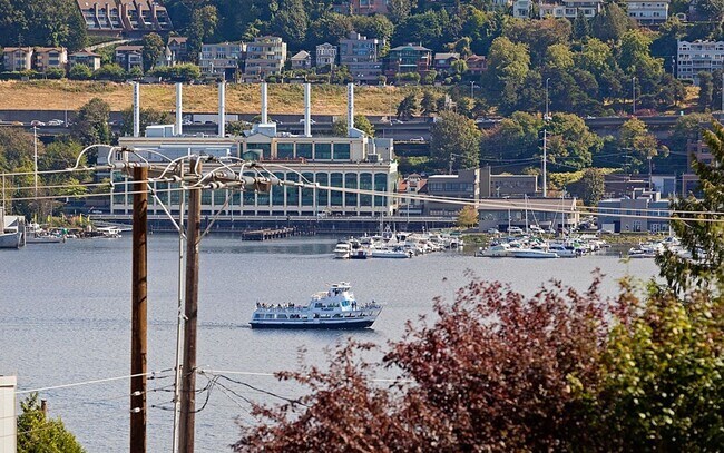 Building Photo - 1Bd/1Ba Seattle Condo