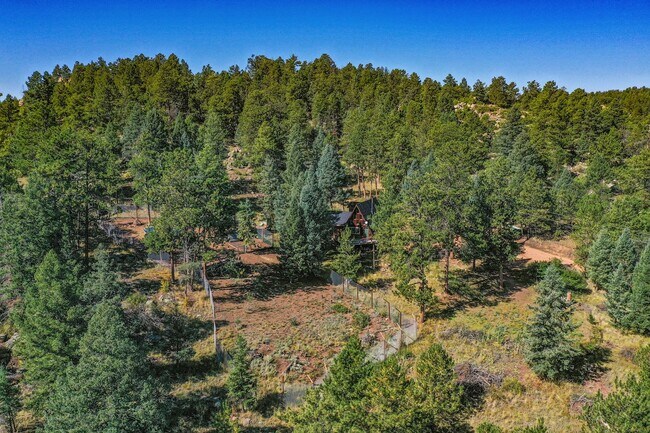 Building Photo - Backcountry Living