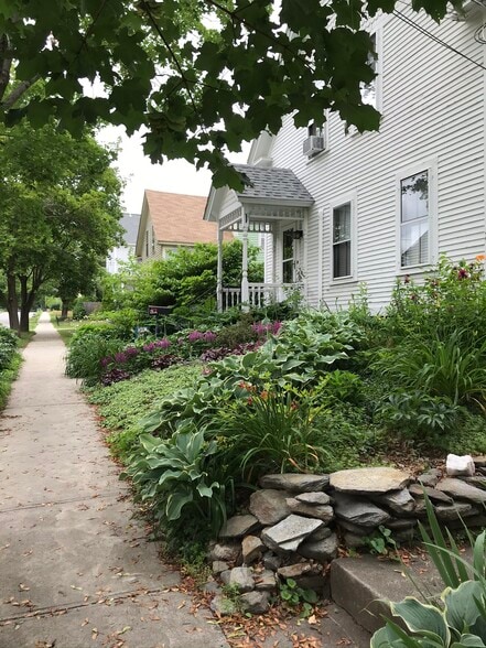 Front Garden - Summer 1 - 25 Beech St