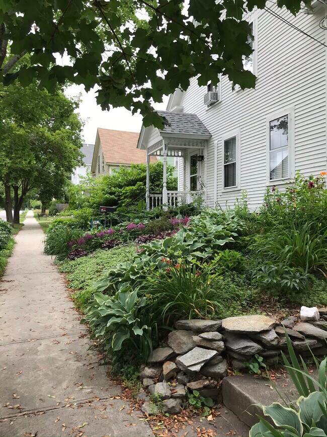 Front Garden - Summer 1 - 25 Beech St