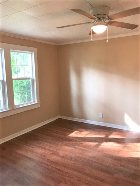 Building Photo - 107 Laircey St