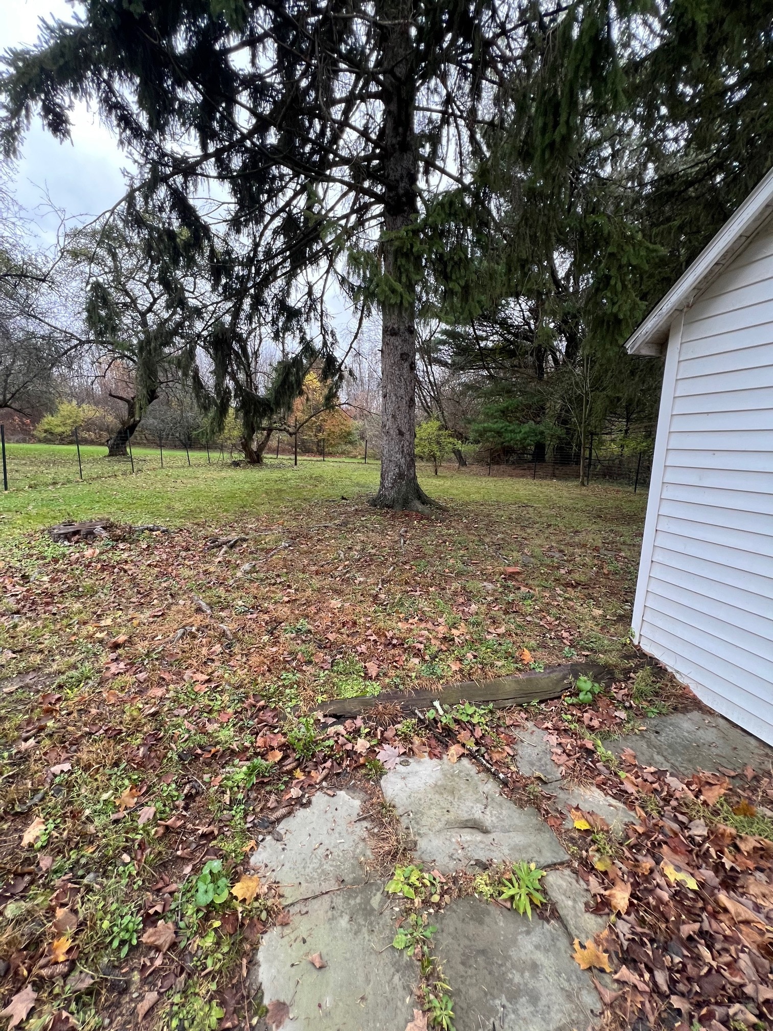 Building Photo - 826 Dryden Rd