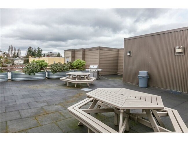 Building Photo - Amazing Capitol Hill Studio - GREAT DEAL!