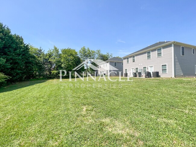 Back Yard at Complex - 588 Leesville Rd