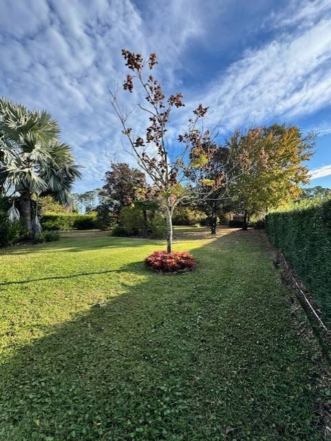 Building Photo - 110 Truman Ave NE