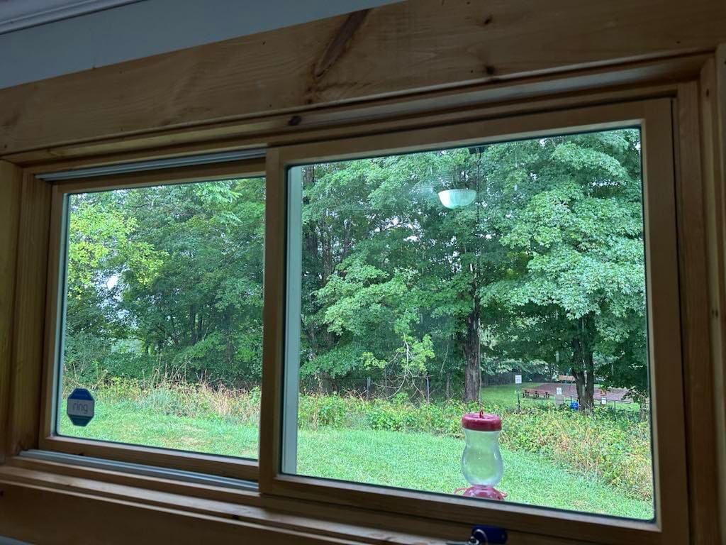View Out Kitchen Window - 114 Carolina Ave
