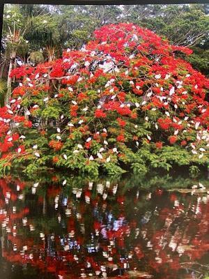 Building Photo - 10110 Cedar Point Blvd