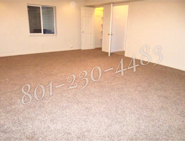 Basement family or bedroom northeast view - 2063 Boysenberry Dr