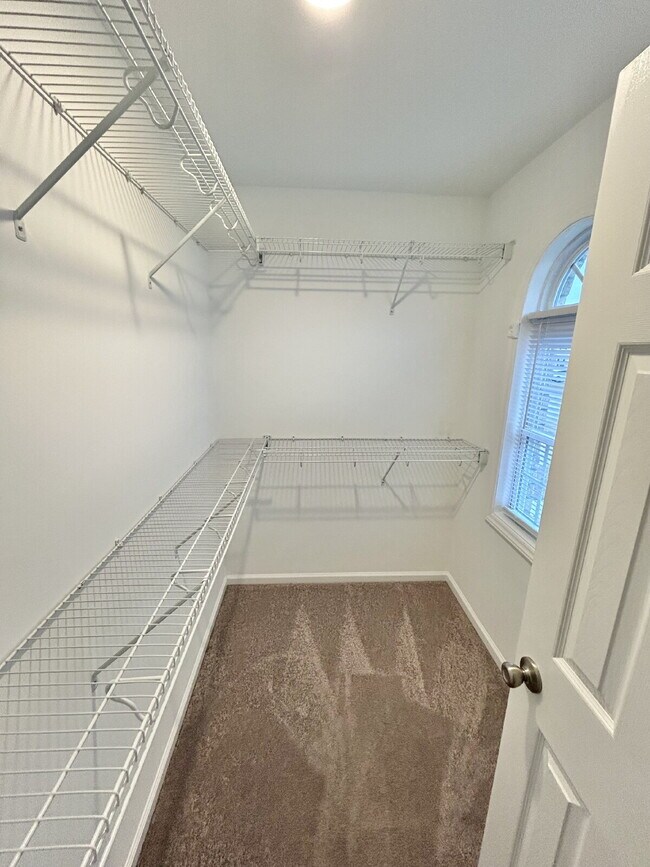 Building Photo - 4152 Brook Creek Ln