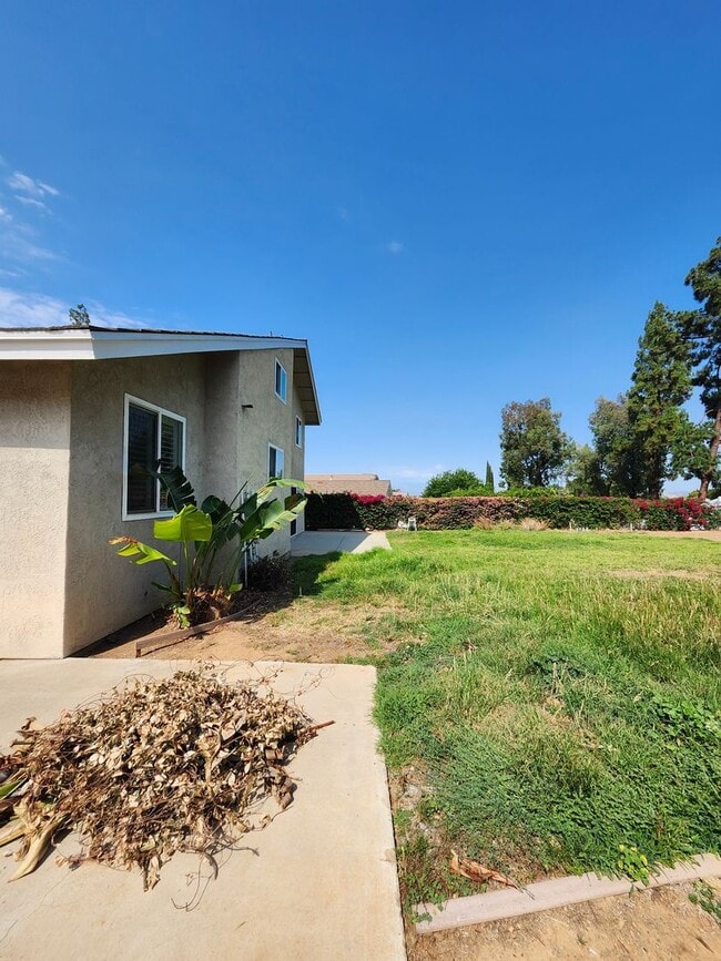 Building Photo - Big backyard with lots of upgrades