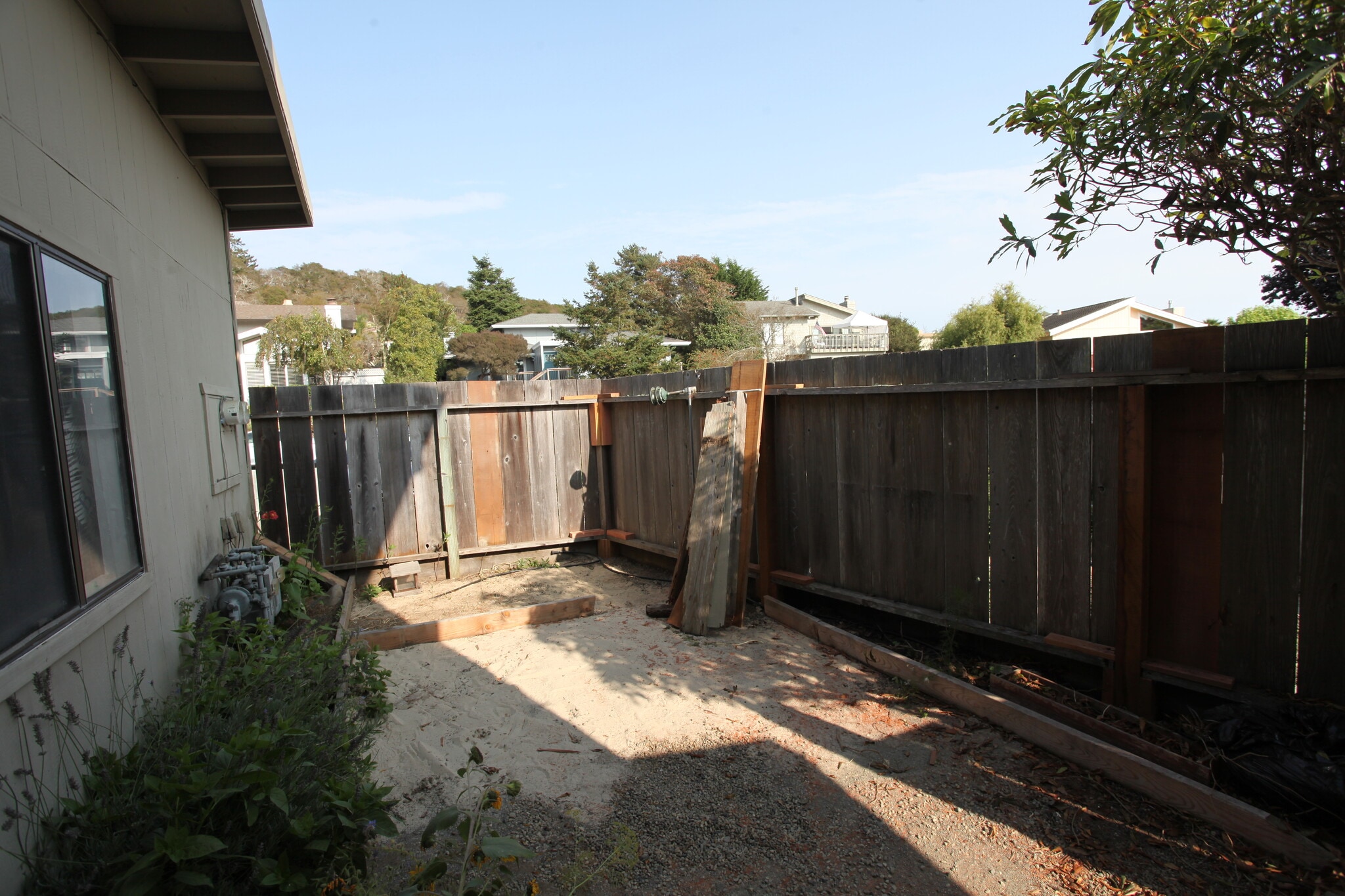 Fenced yard. - 1968 Dolphin Dr