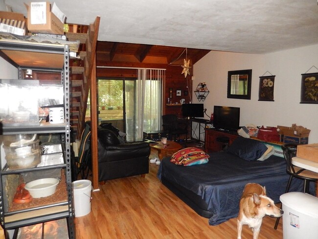 Building Photo - 2475 Rumba Ct