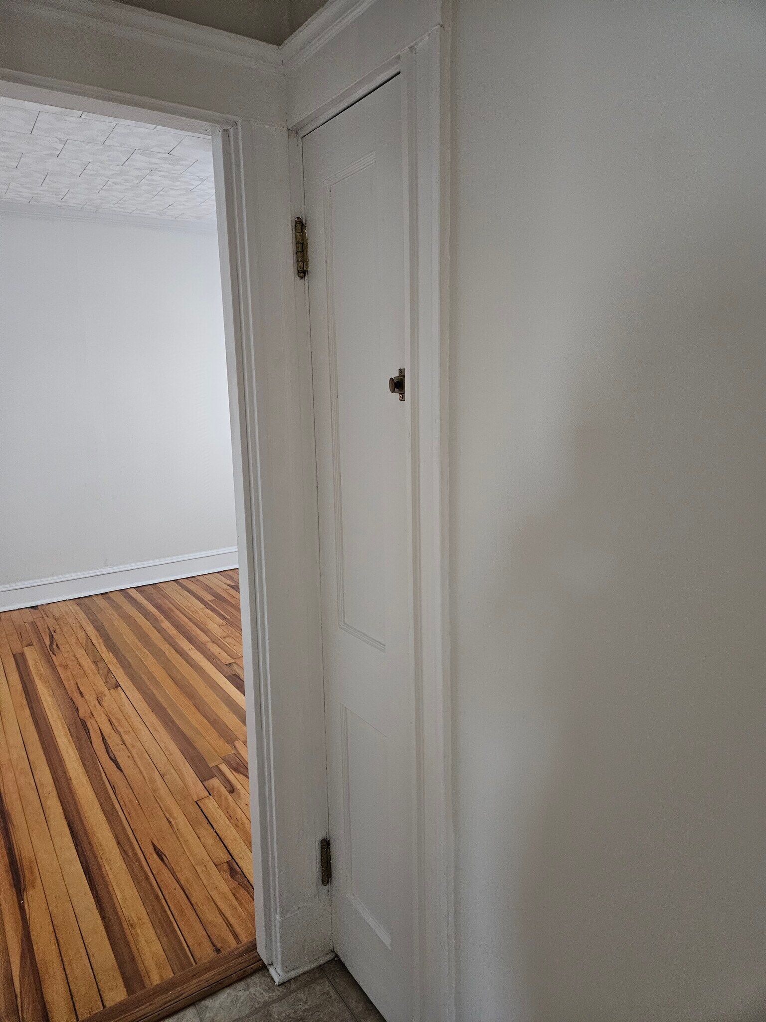 Linen Closet outside Bathroom - 1495 River St