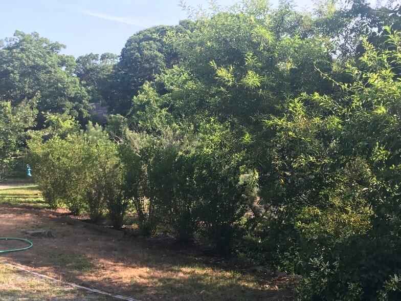 Building Photo - 26 Cranwood Rd