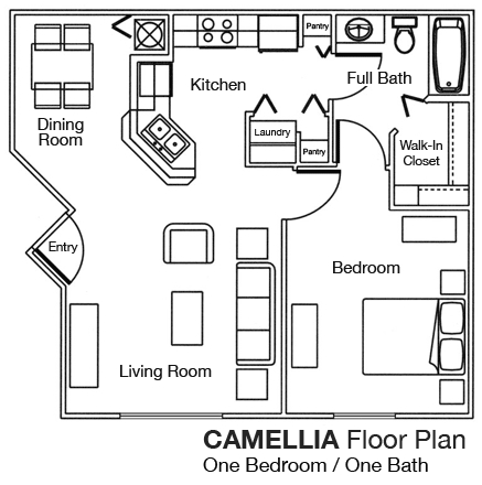 CAMELLIA - Westchase