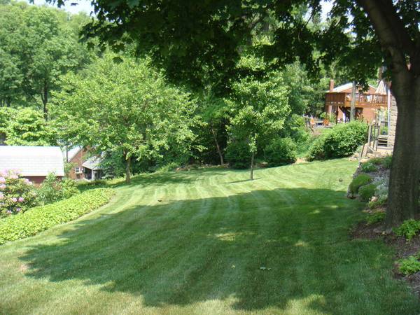 back yard - 202 Long Road