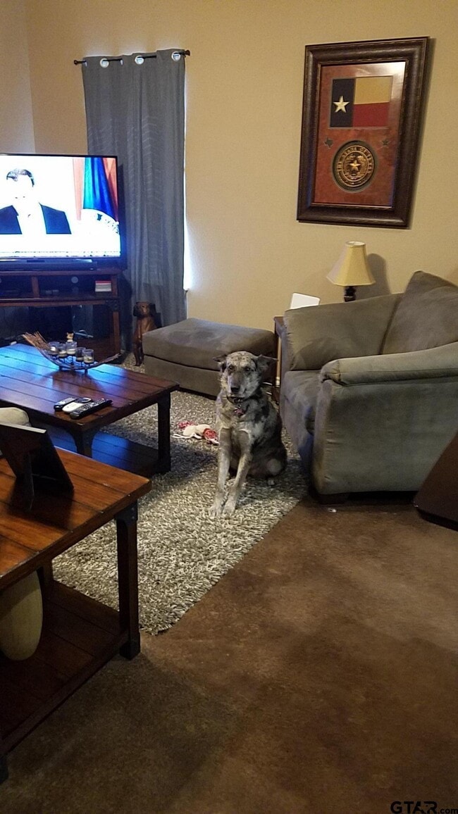 Building Photo - 501 FM 315