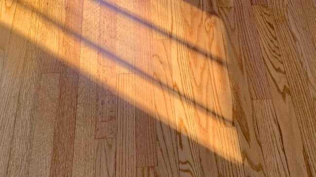 Building Photo - 2513 18th Ave