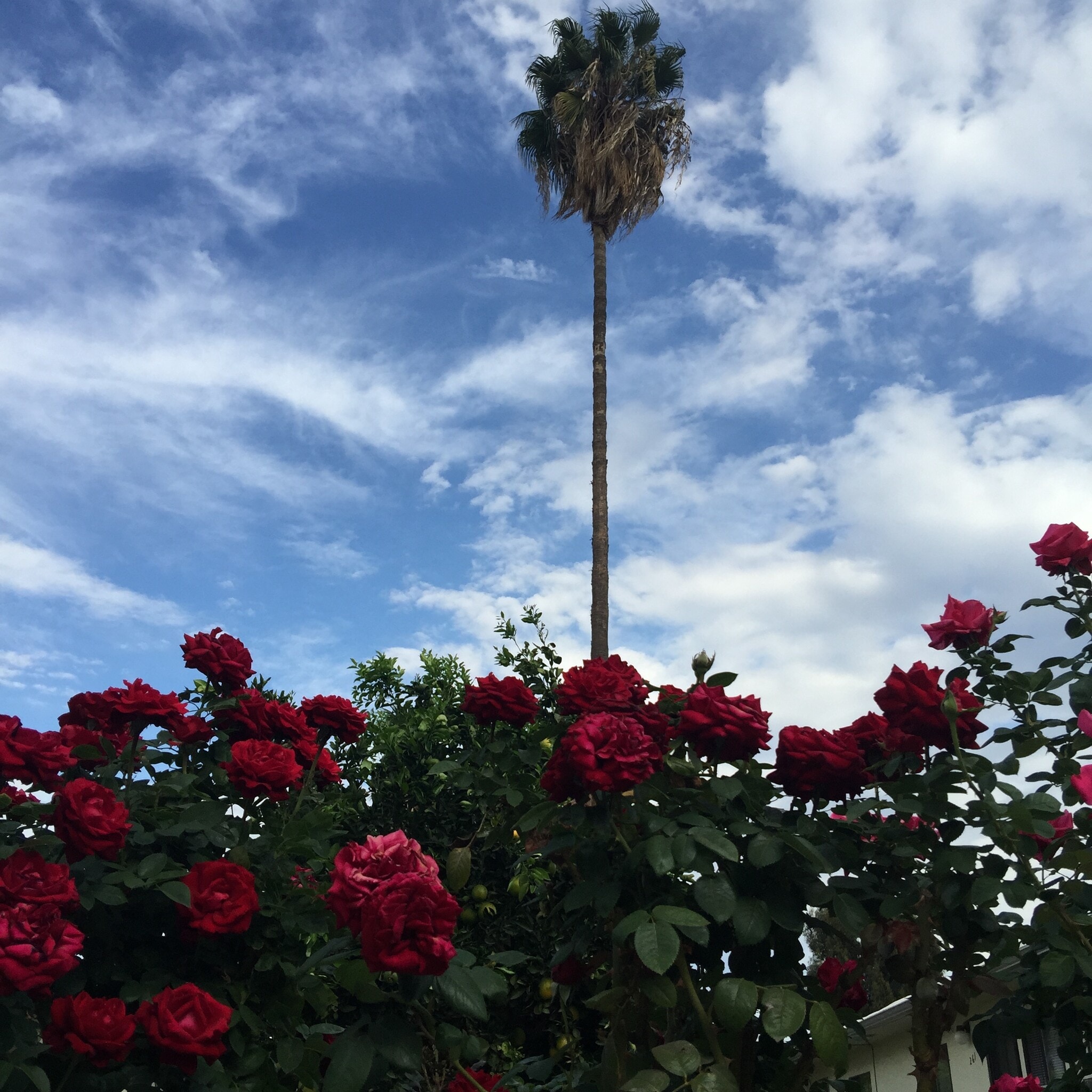 Building Photo - 263 N Florence St