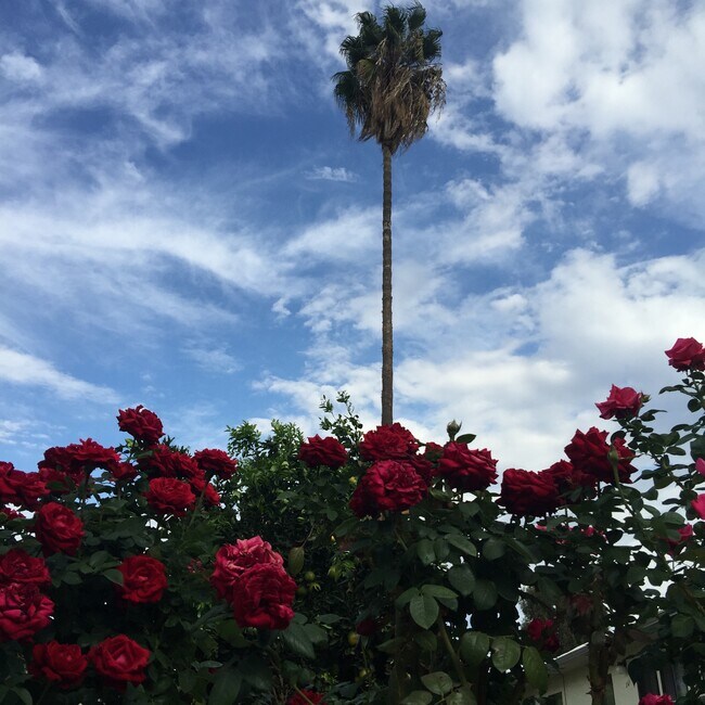 Building Photo - 263 N Florence St