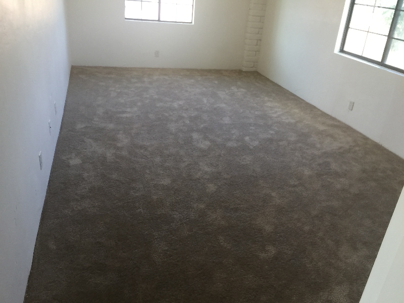 Building Photo - 1141 Calle Carmelita