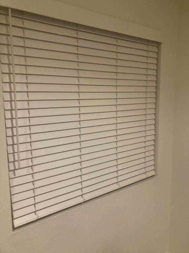 New windows and blinds installed in the last two years - 24482 Mozer Drive