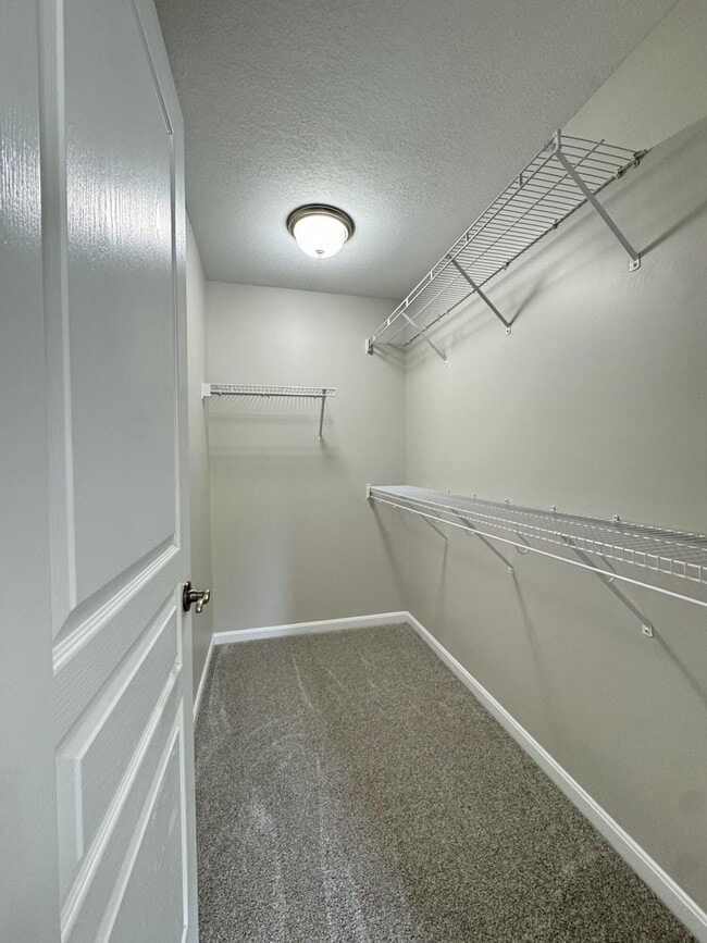 Building Photo - 2065 Timberwyck Ln