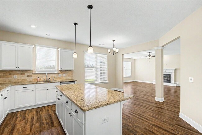 Building Photo - 4 Bed/3.5 Bath Home in The Palms at New Hampstead