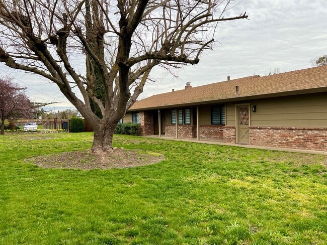 Building Photo - Classic Granite Bay Ranch Style 3/2/3 w Pasture
