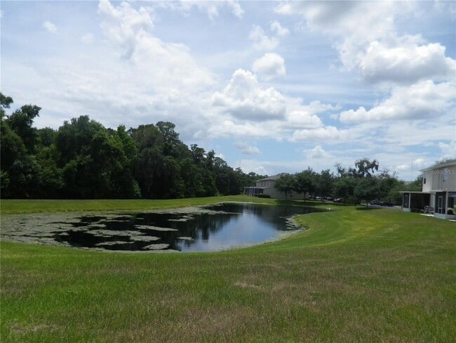 Building Photo - 15965 Fishhawk View Dr