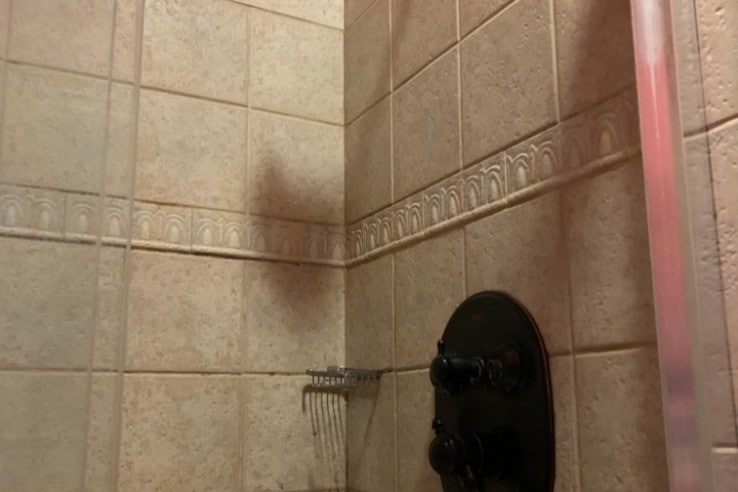 Building Photo - 719 Savannah Ave