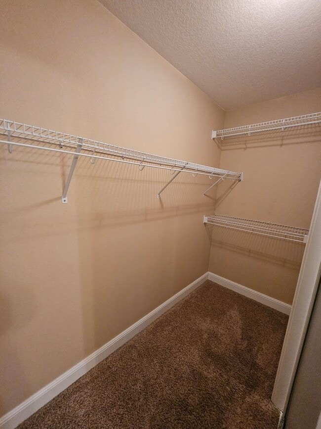 Building Photo - 3 Bedroom 2 Bath 2 Car Garage House.  Walking Distance to the Medical School