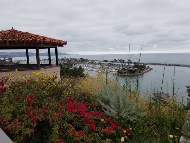 Building Photo - 33901 Copper Lantern St