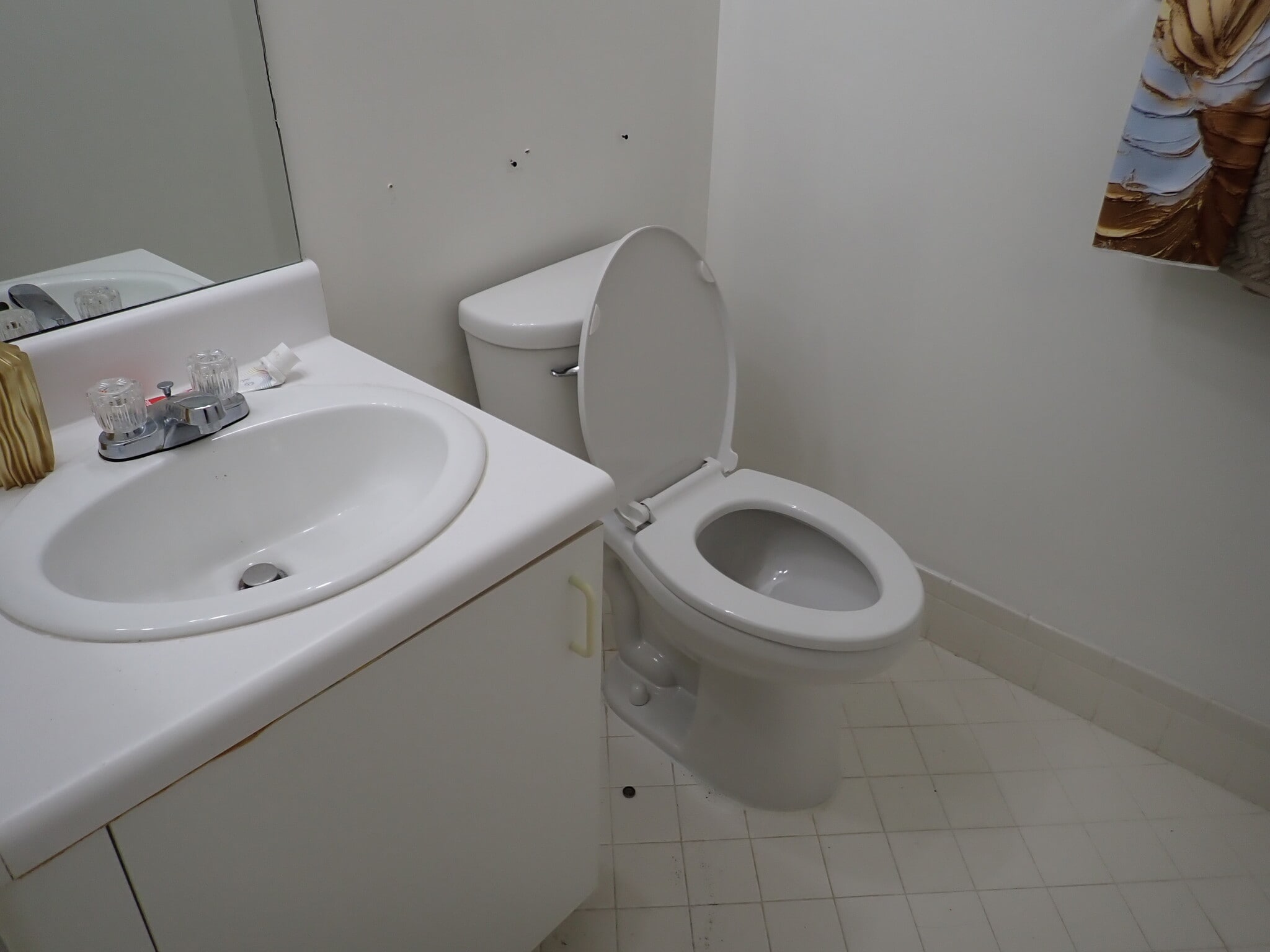 NEW TOILETS - 1601 SW 128th Ter
