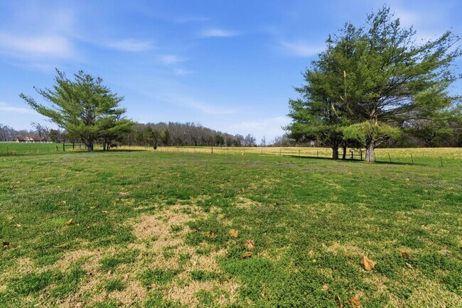 Building Photo - 1.25 ACRES IN THE GLADE! - 4 Bed, 3.5 Bath, 3250 sqft Home in Mt. Juliet (Gladeville)