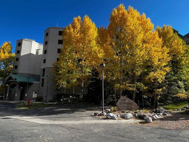 Building Photo - Winter Seasonal Rental- Towers at Lakepoin...