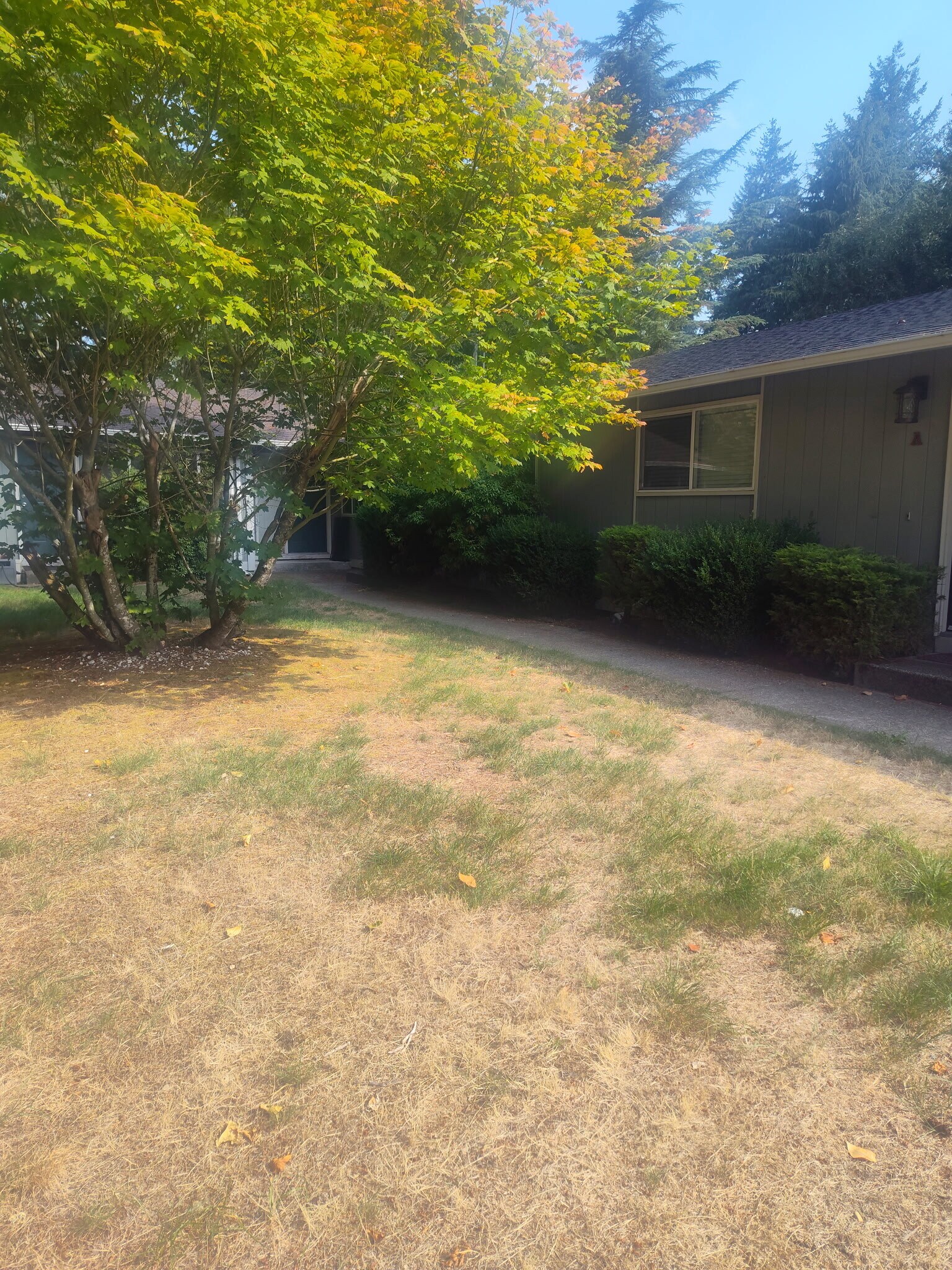 Building Photo - 811 43rd Ave SW