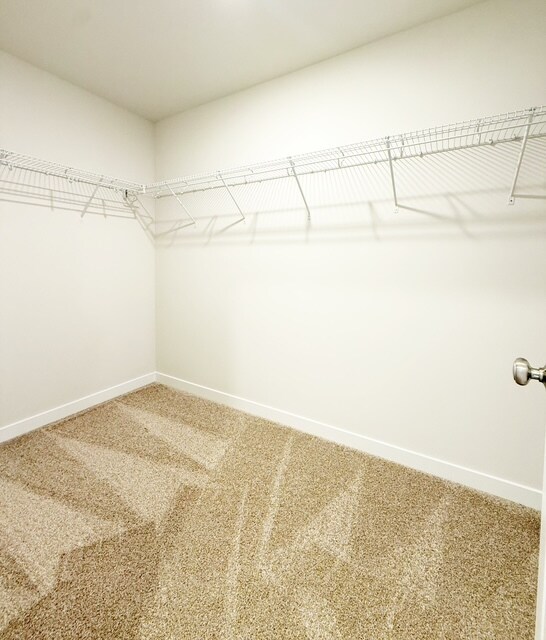 Building Photo - 5924 Trace Dr SW
