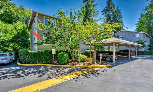 Building Photo - Echo Lake One Bedroom