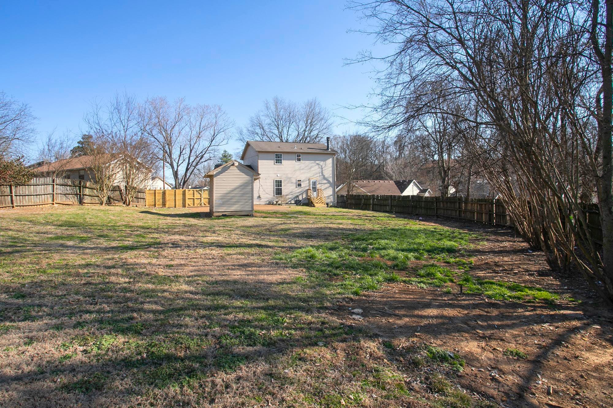 backyard - 105 Jacksons Retreat Ct