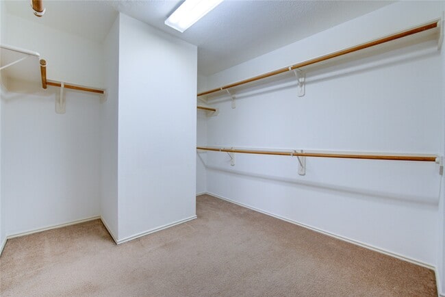 Building Photo - 1823 Usher Ct