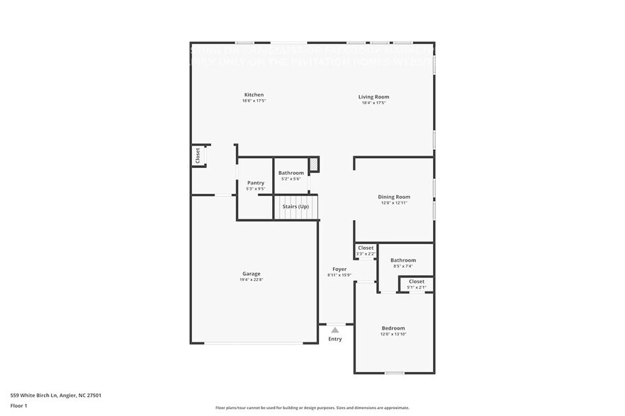 Building Photo - 559 White Birch Ln